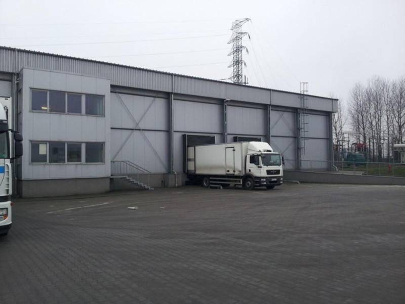 PL0960 PPHU WIGO